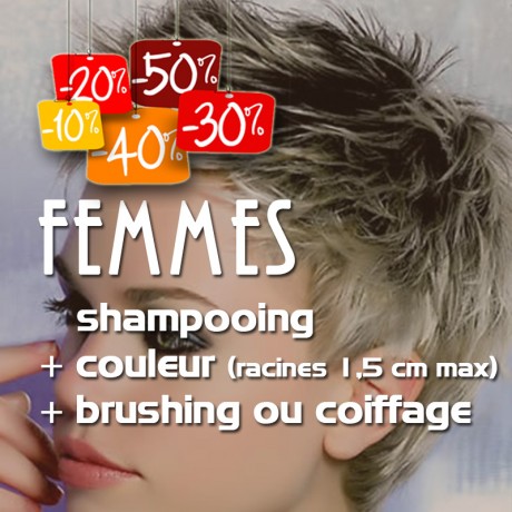 shampooing + coupe + brushing ou coiffage